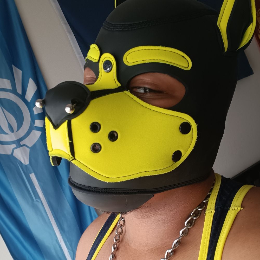 Pup Ryder