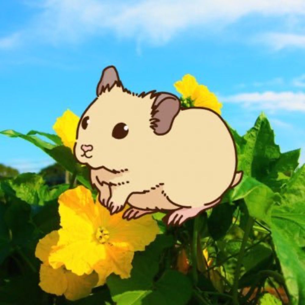 葉月透梨/葉月へちま