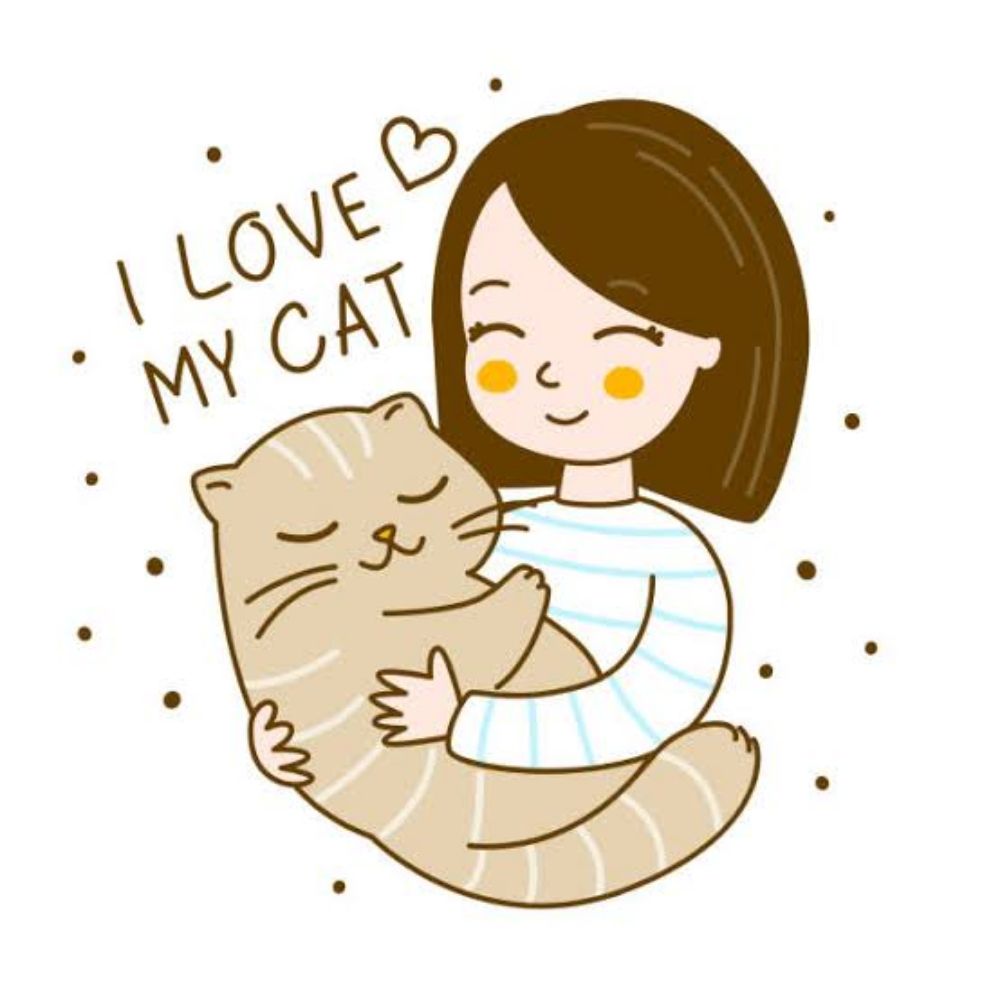No Cat No Life