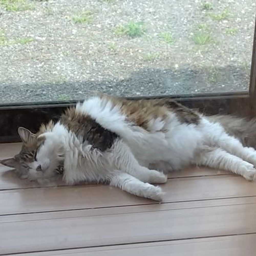ゆっけ