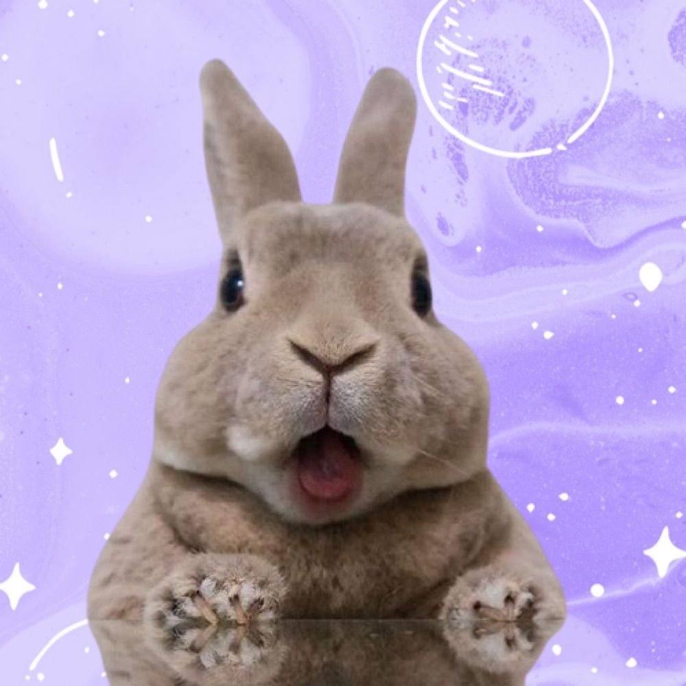 ⟭⟬ bunnycheeks⁷ ⟬⟭🐳