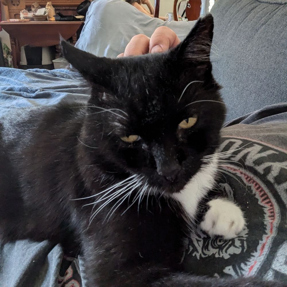 Mike and Boots
