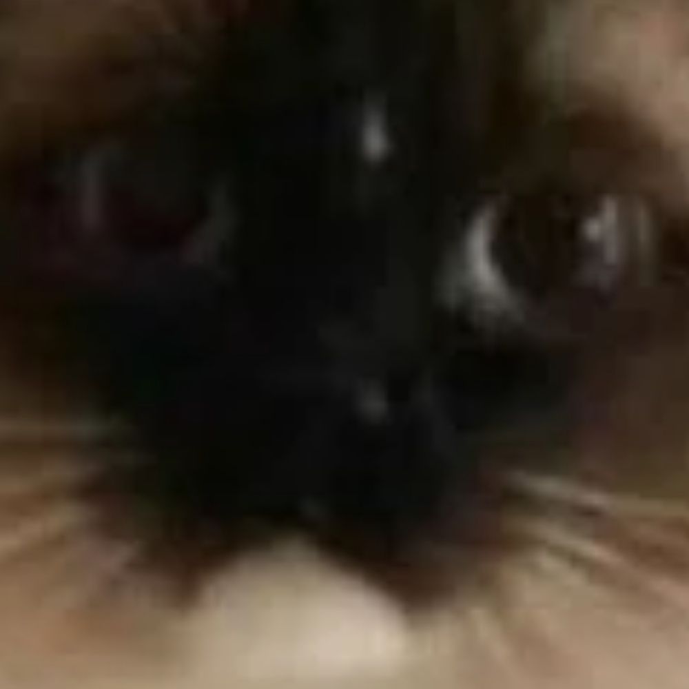 Mer