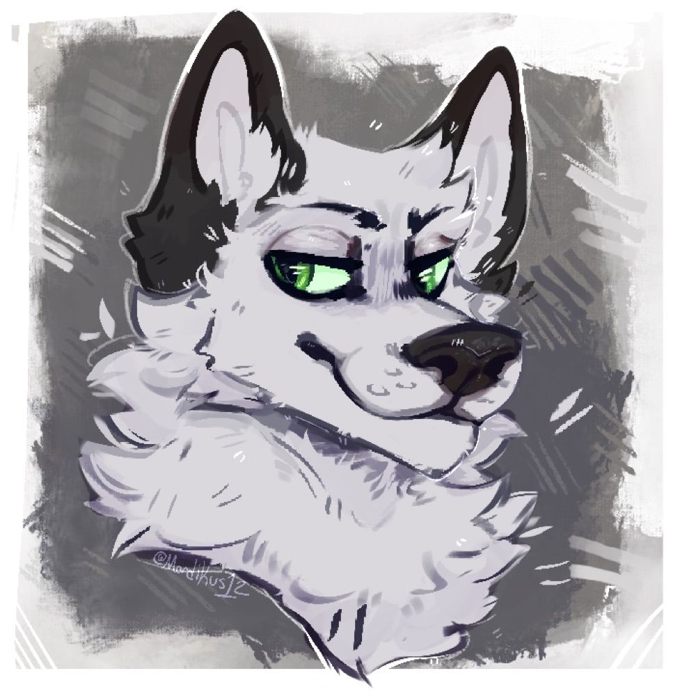 Thor Pubby🔜FWA