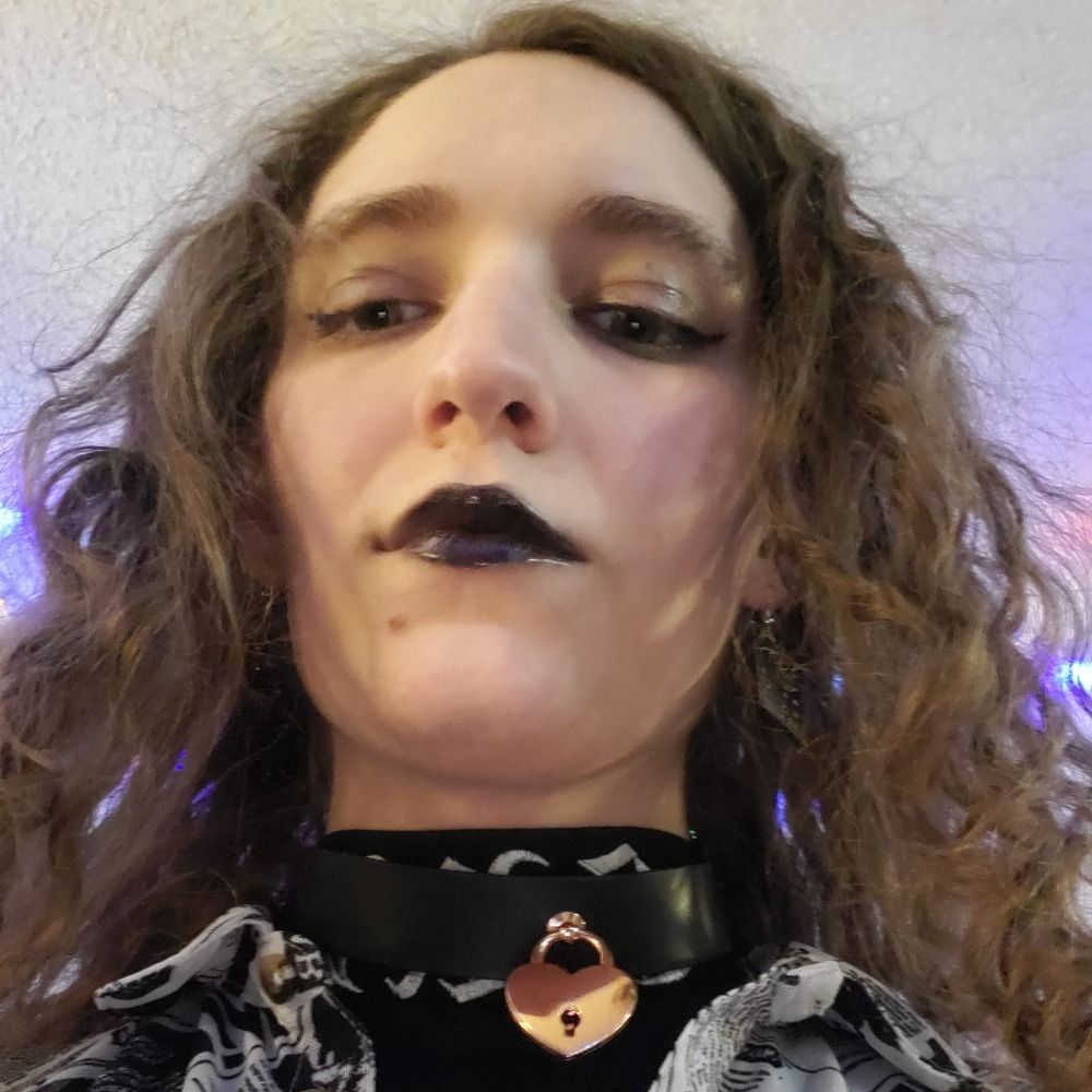 Ponchgal She/it. 🏳️‍⚧️🐶🕷🏳️‍⚧️