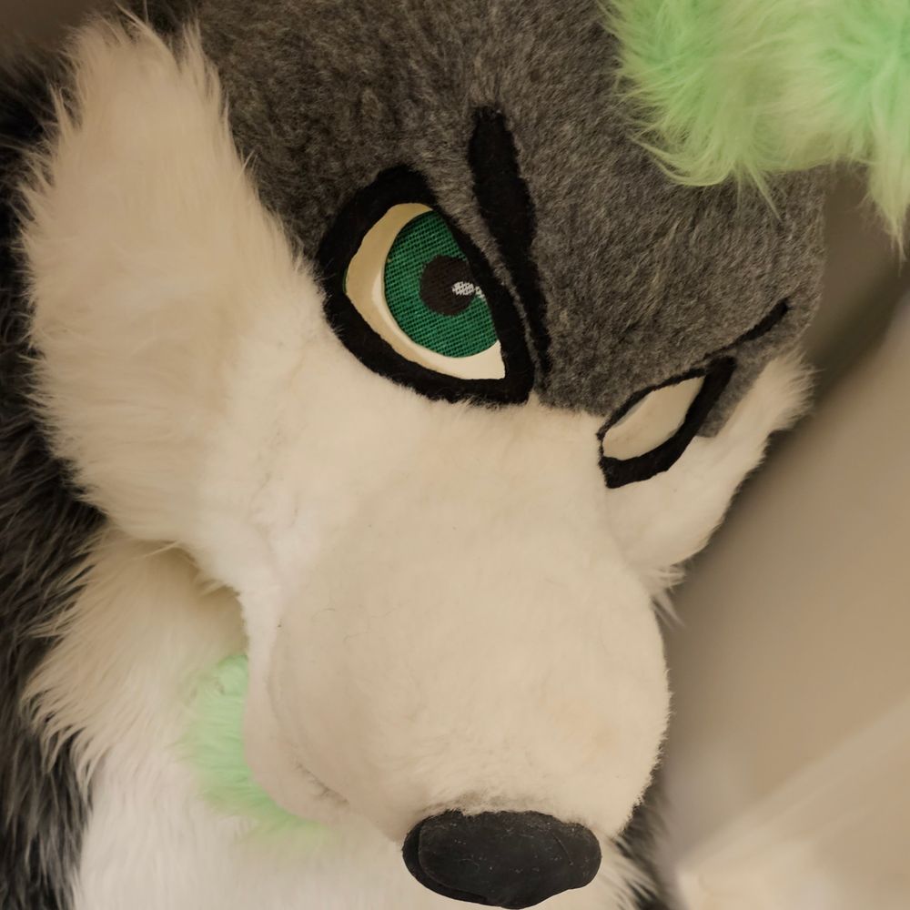 🔞 Knotty Wuff Deacon 🔜 TFF