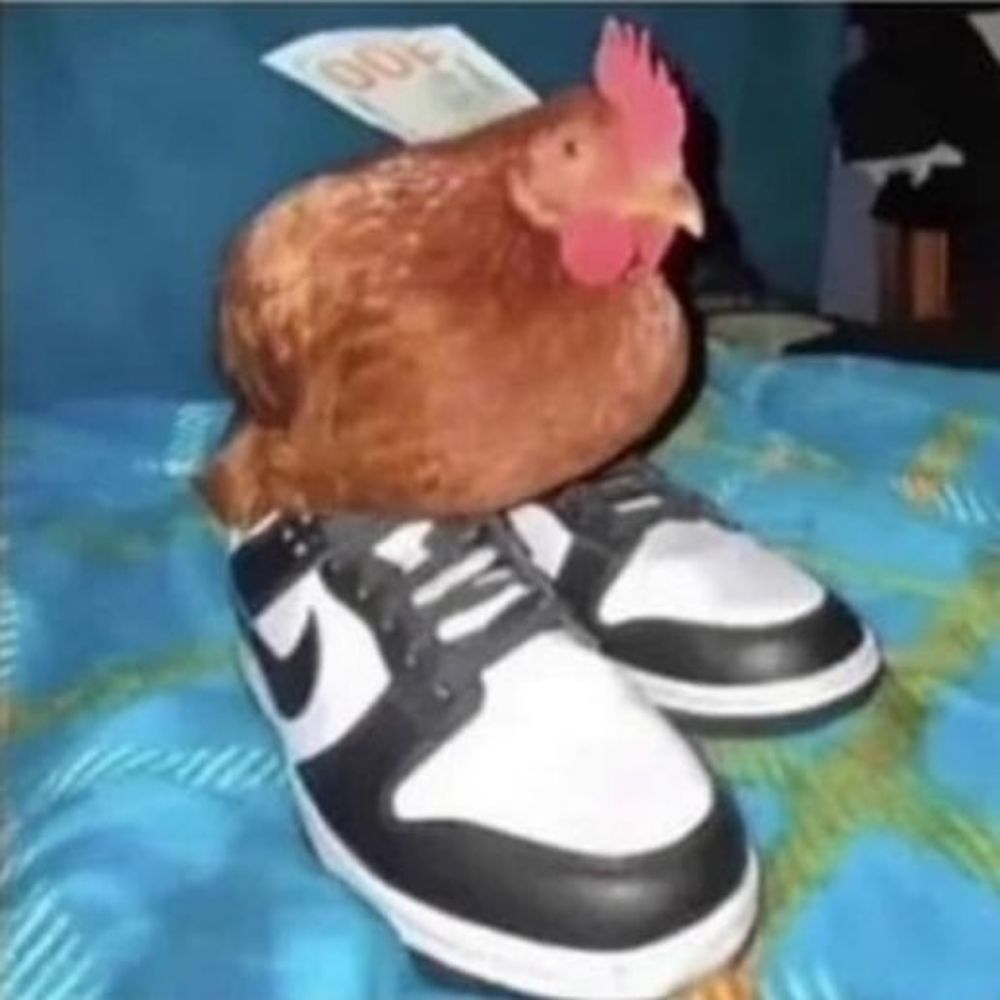 DasMoorhuhn