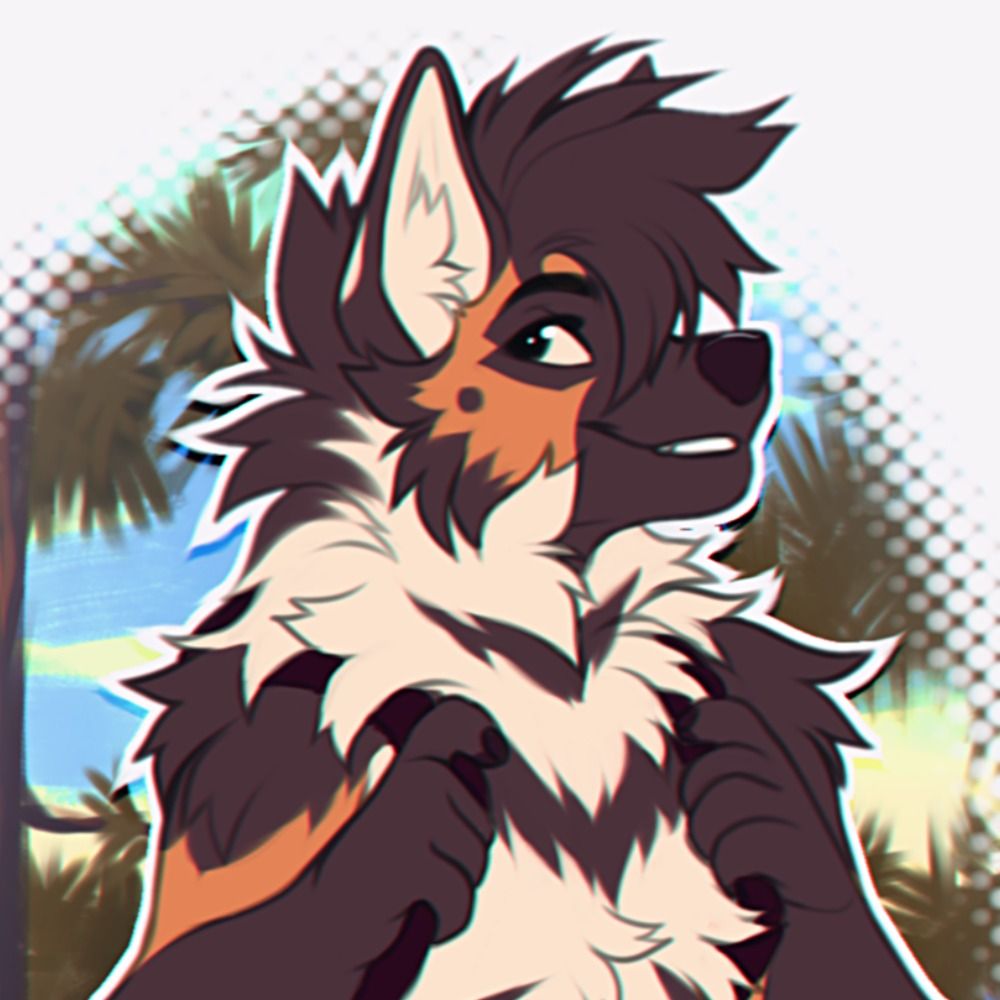 SHEP 🍁
