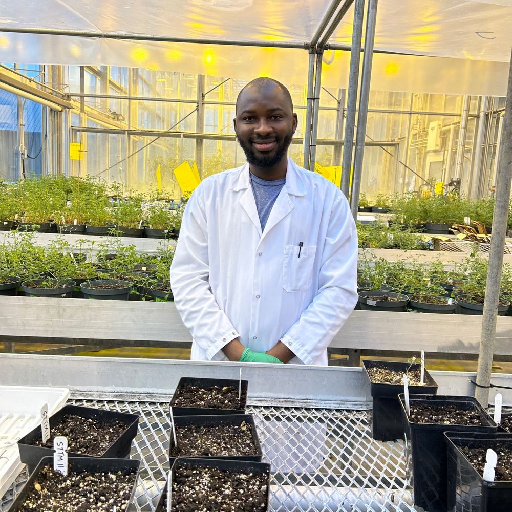Kayode S. Sakariyahu