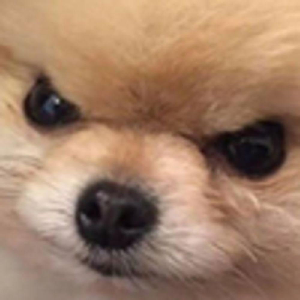 glarfugus