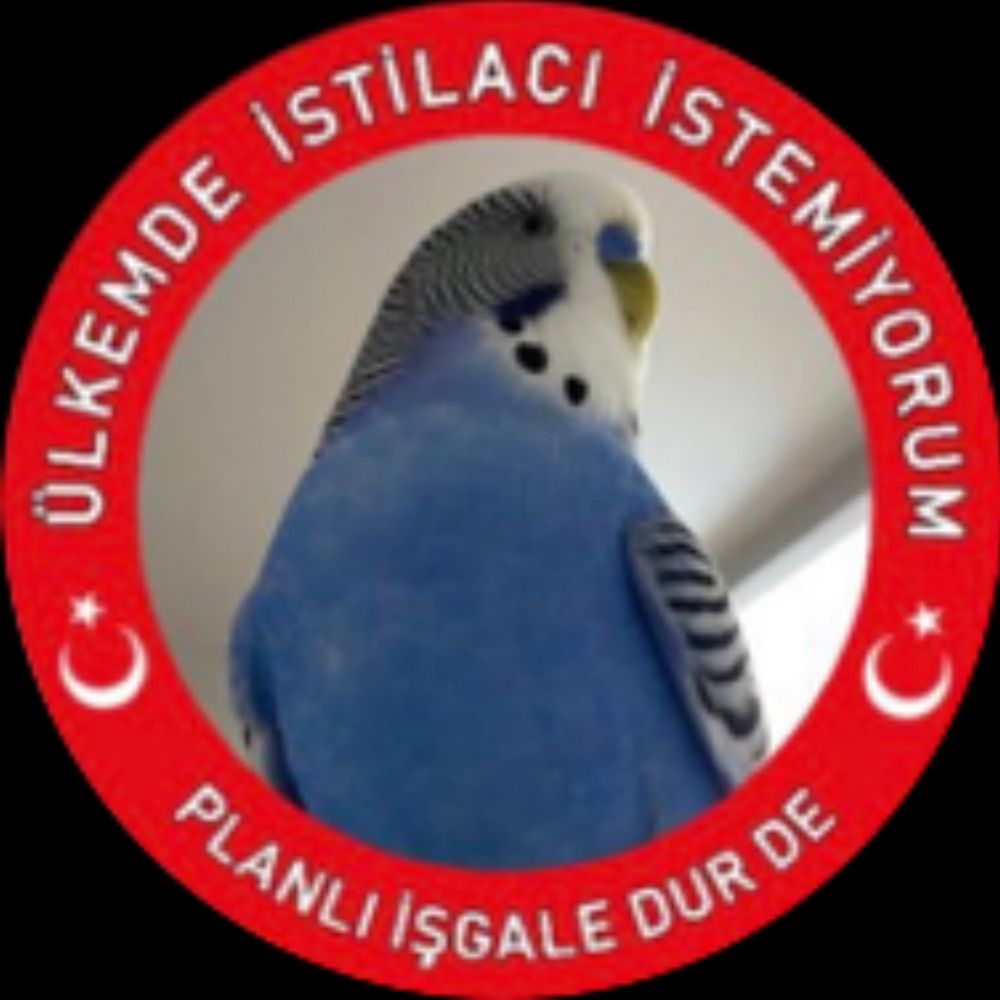 Prof. Dr. Cicikuş