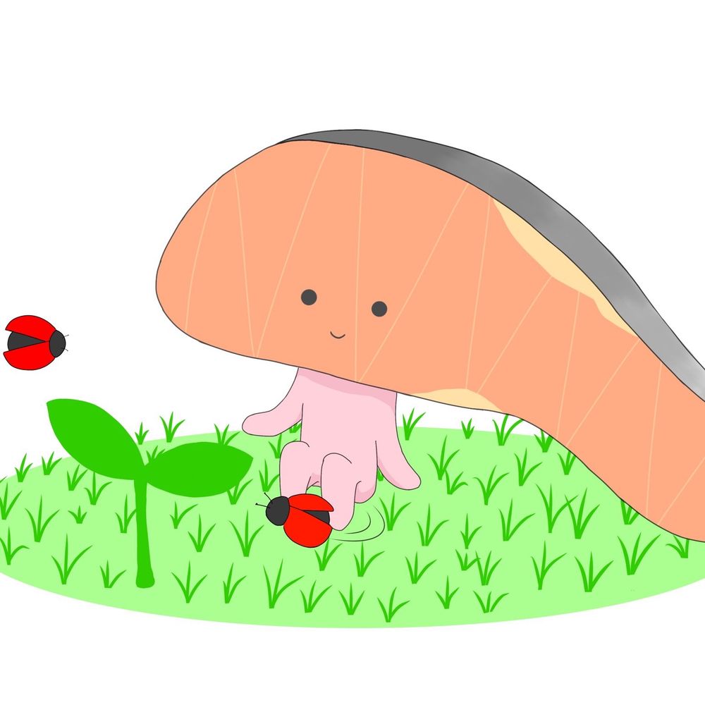 サンフラワー
