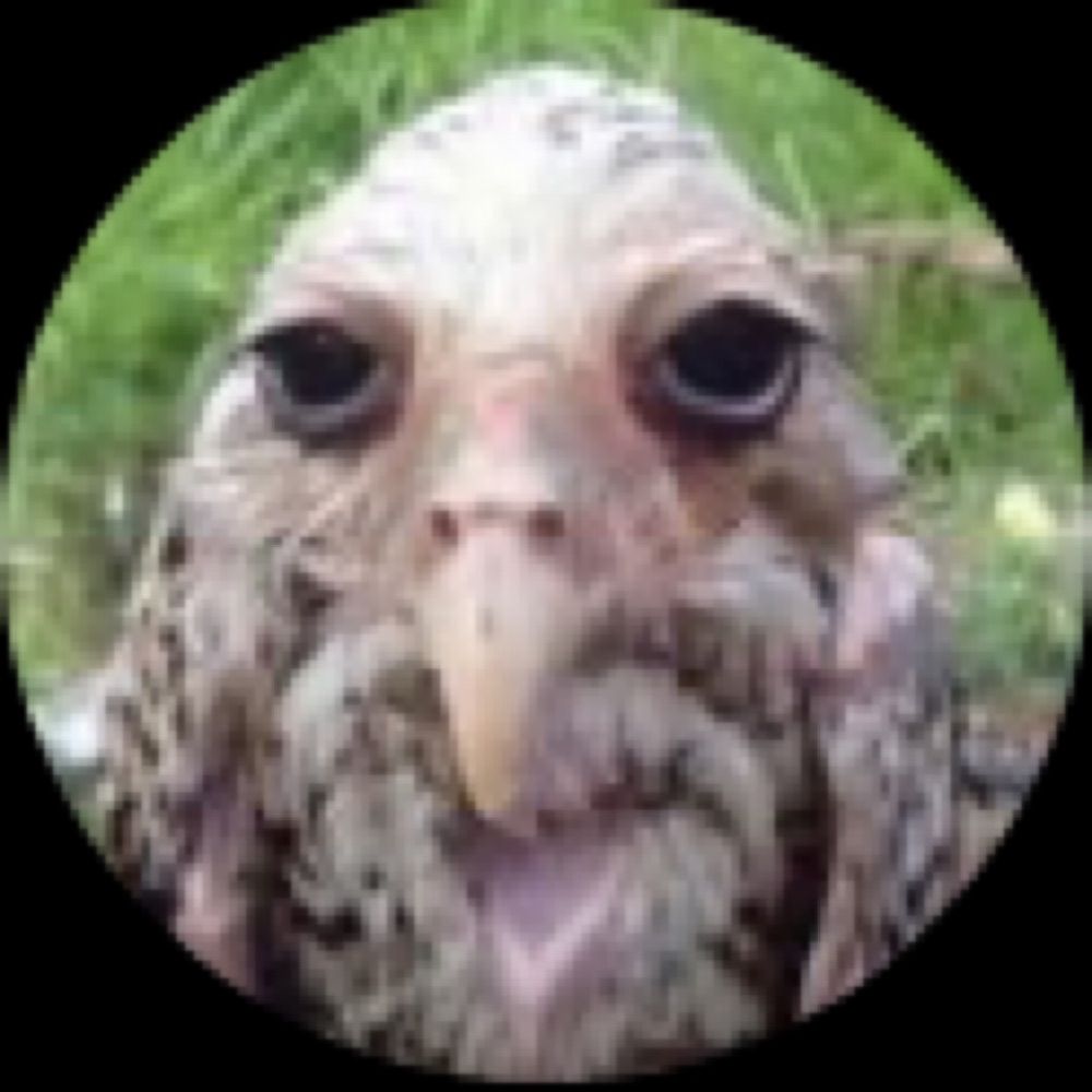 User avatar