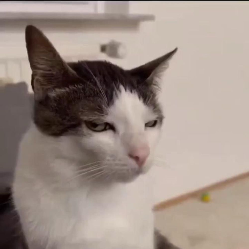 Les