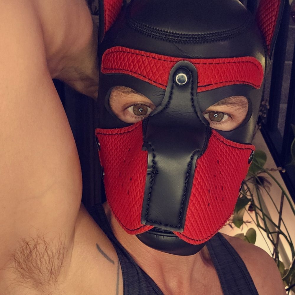 Boxer_lad OF