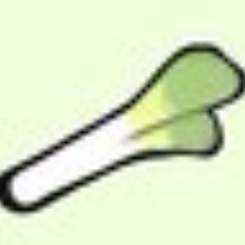 ねぎすけ