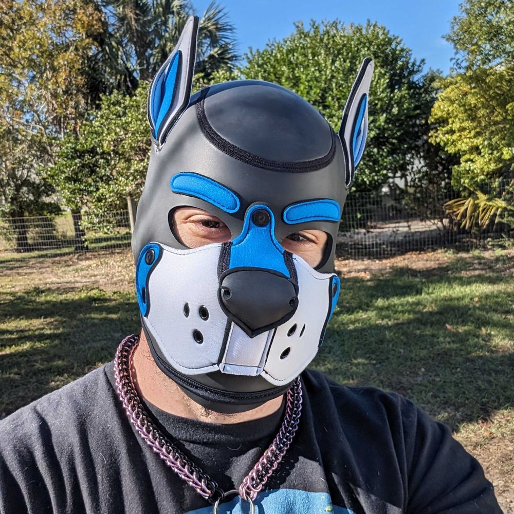 Pup Wubz