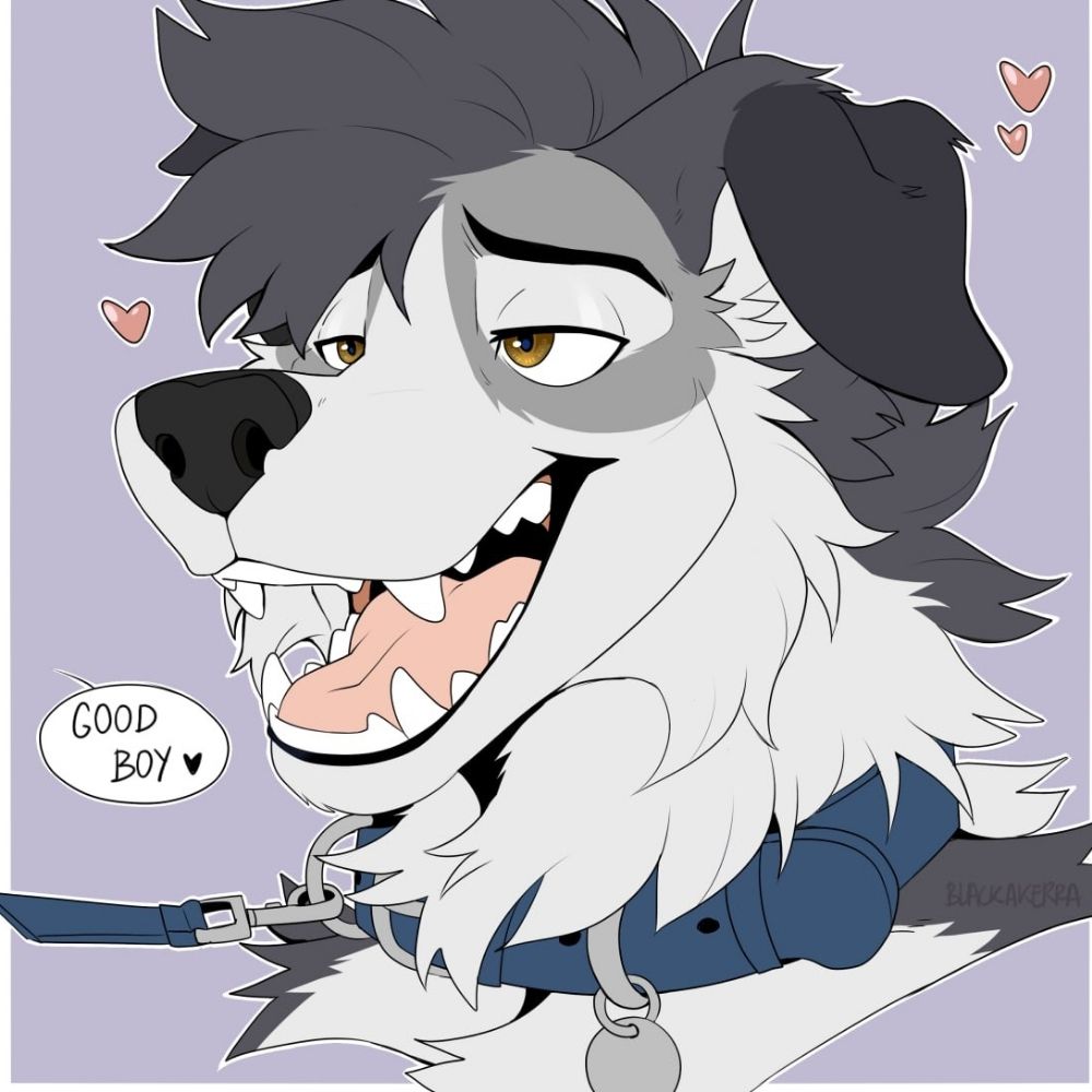 Somewhat Good Boy