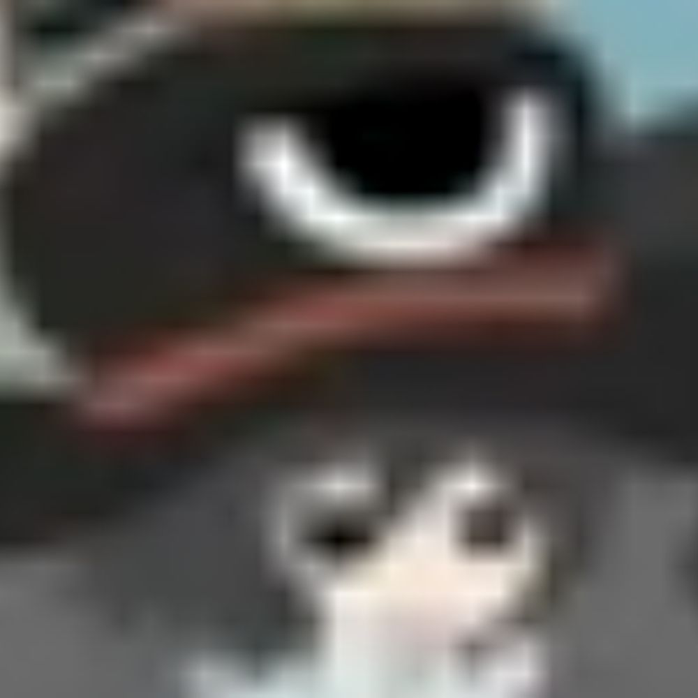 Rulz