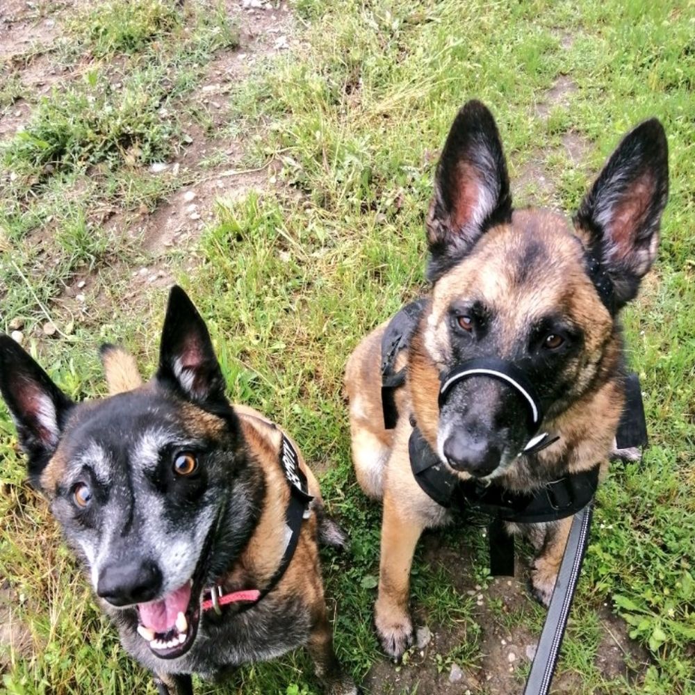 Zlatan&Luna