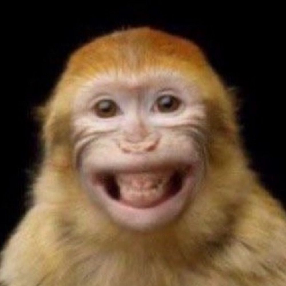 감자