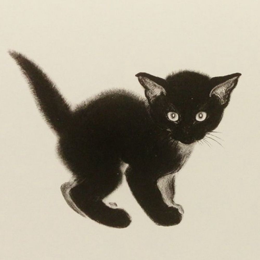 moshi