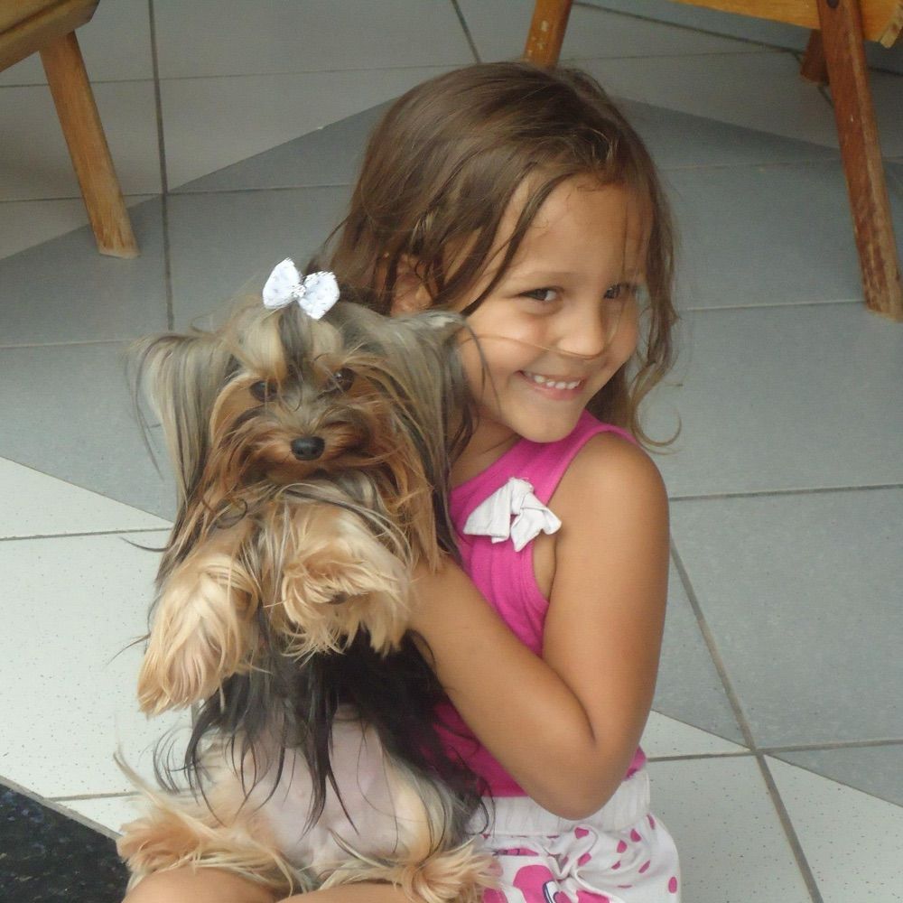 canofre’s version