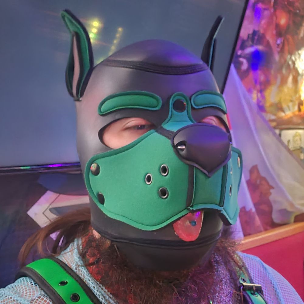 Pup_Nyx🏳️‍⚧️