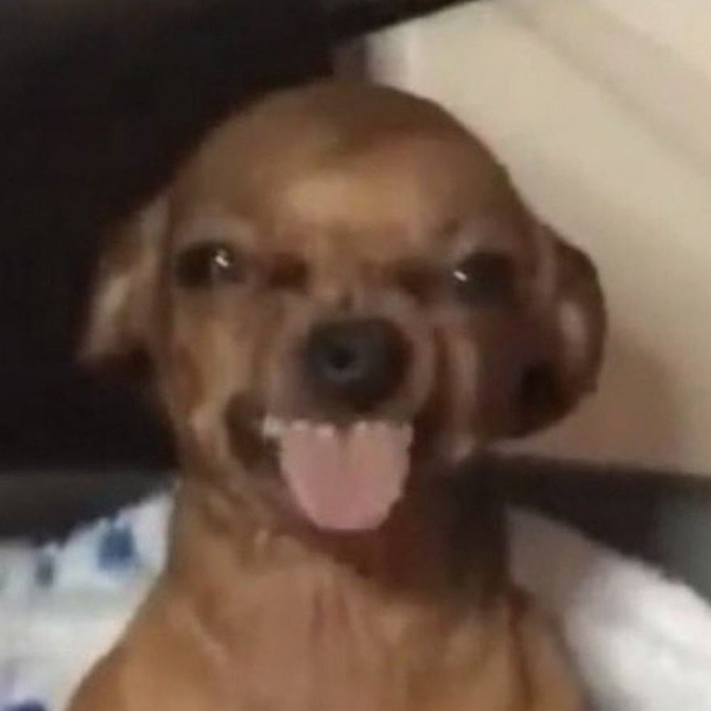 banho de chuva acida