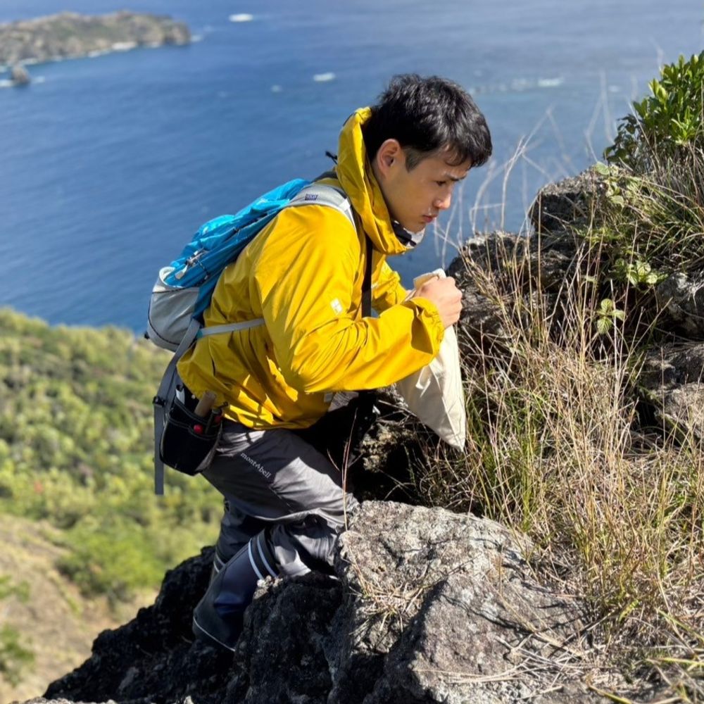 Kento MIYAZAWA