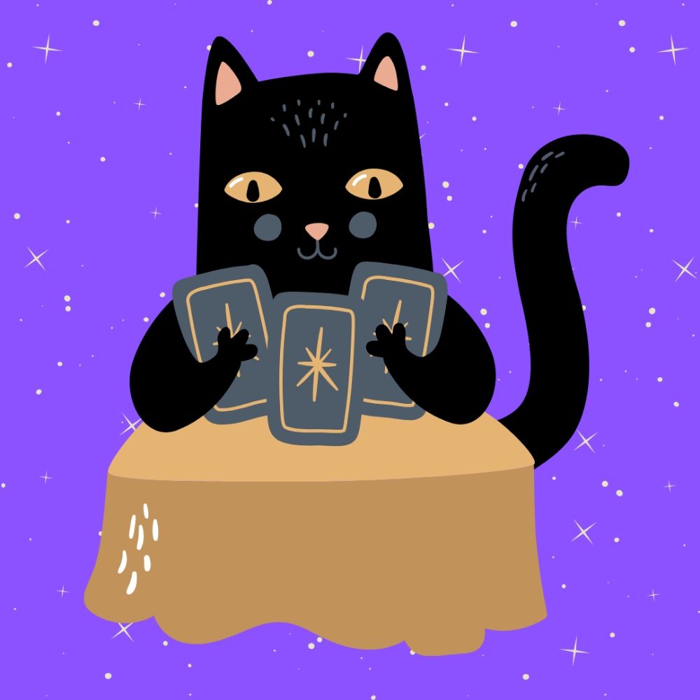 o tarot do ed