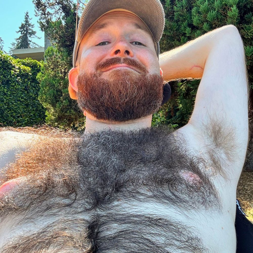 chairbear