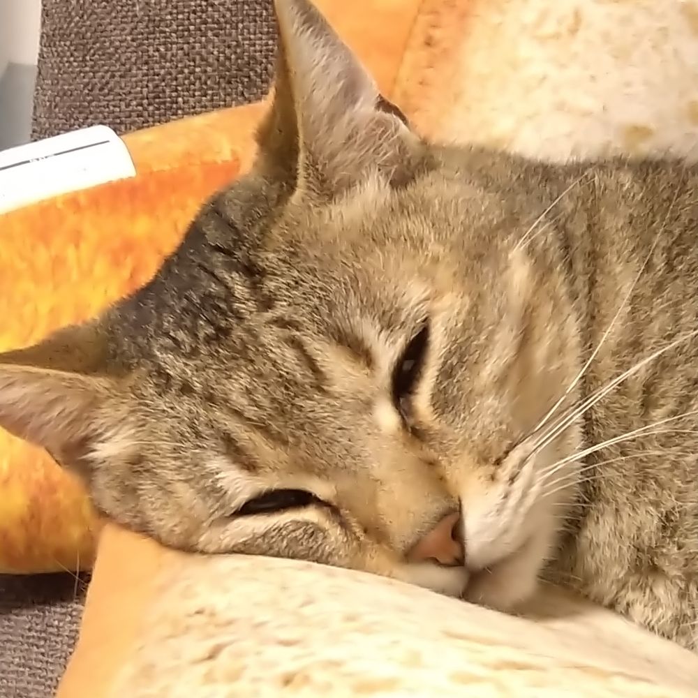 ○はぎ
