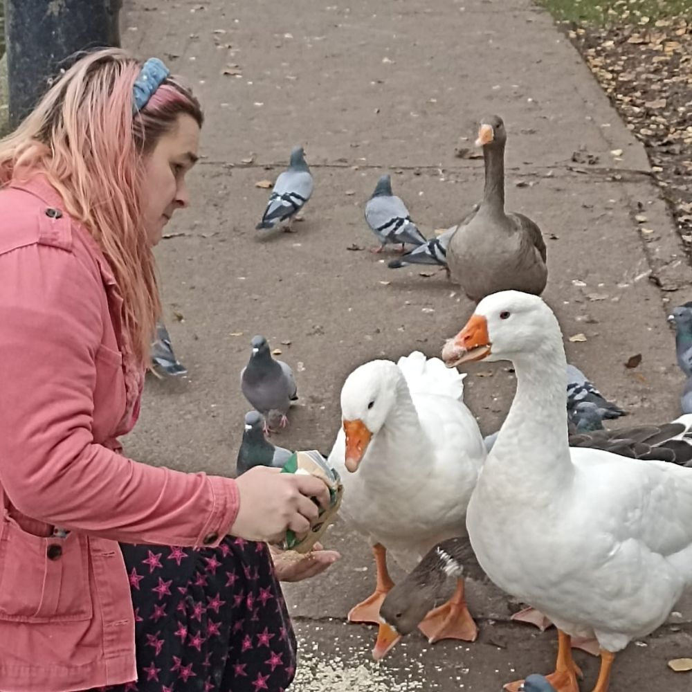 Rosa 🏳️‍⚧️🪿