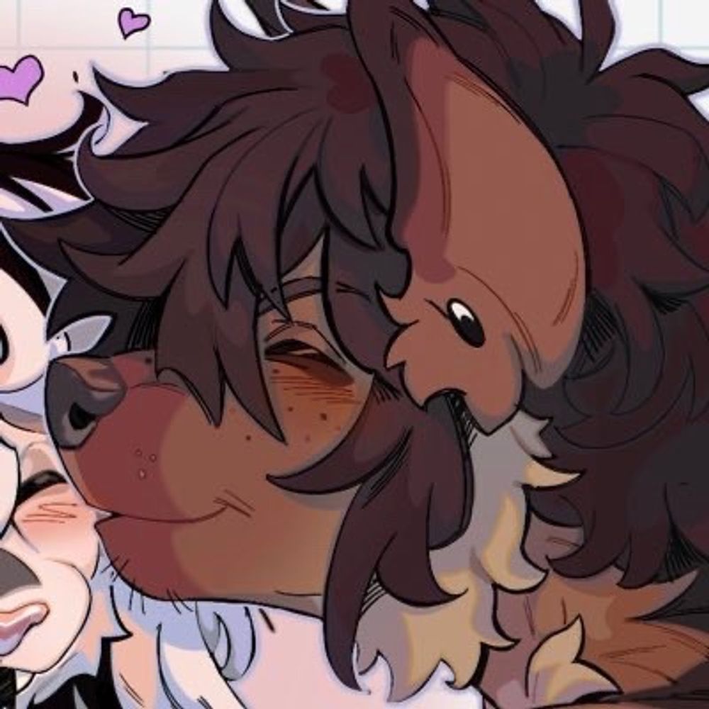 JOJO DOG ⭐️
