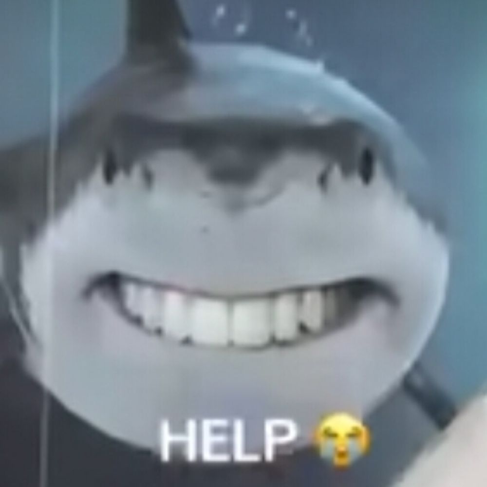 ZLEEdaboi
