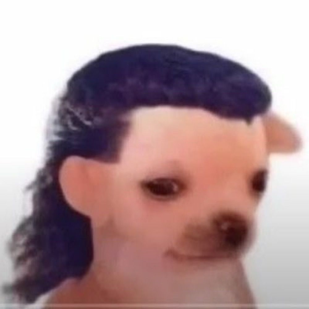 fã clube da duda