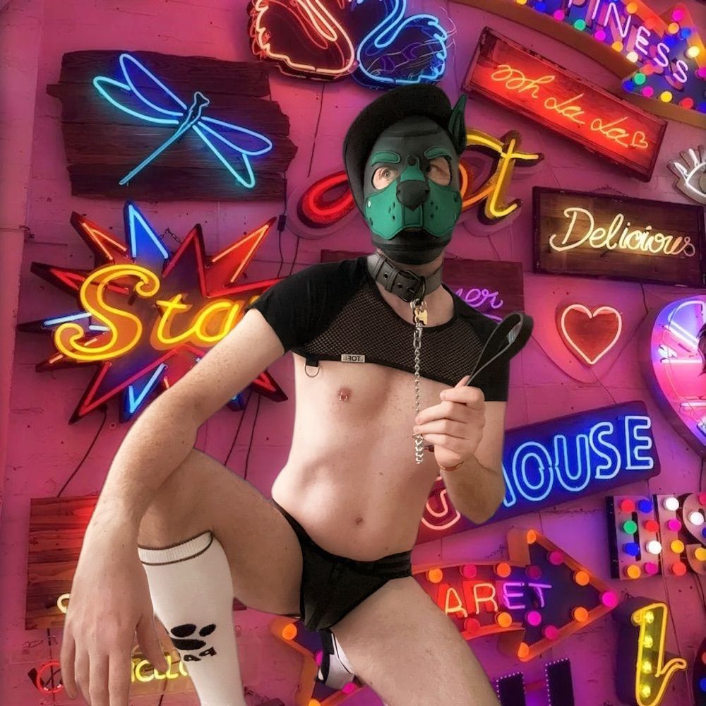 Puppy_Plattenrocker