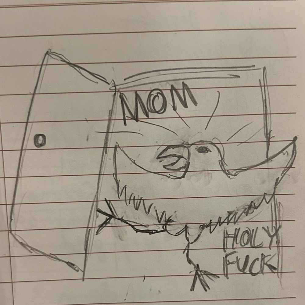 Stəv’n