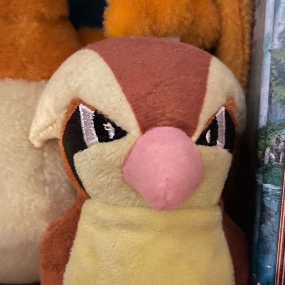 Pidgit