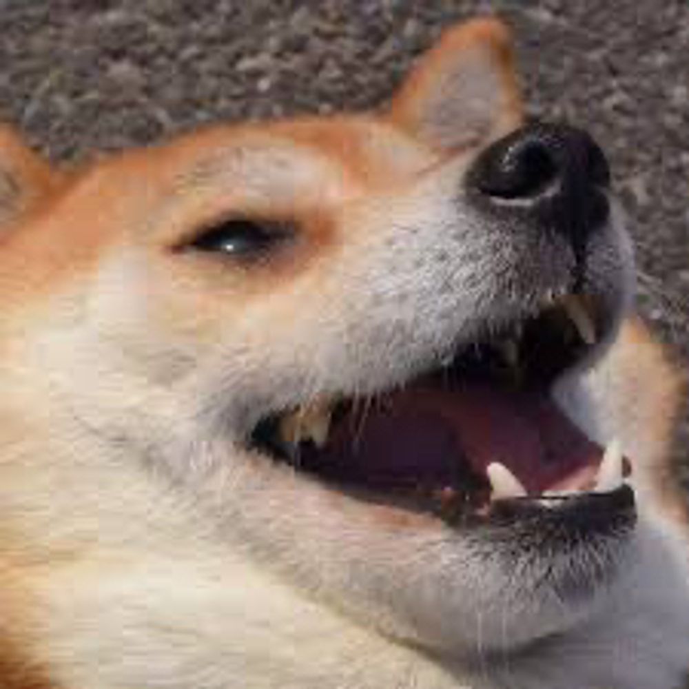 MakoMatoi