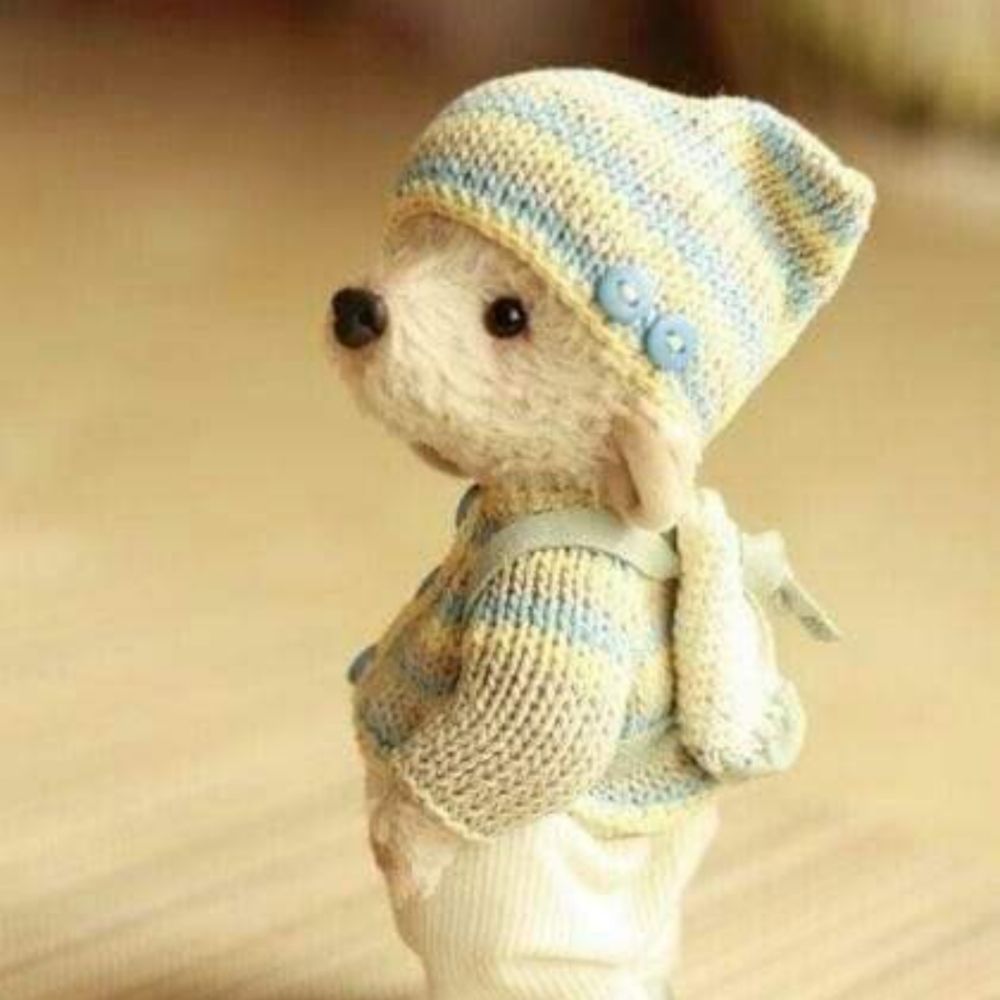 Teddy J.
