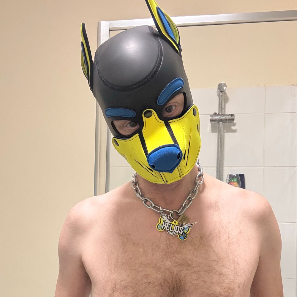 Helios Cobalt 🔜 Doggy Weekend 2025