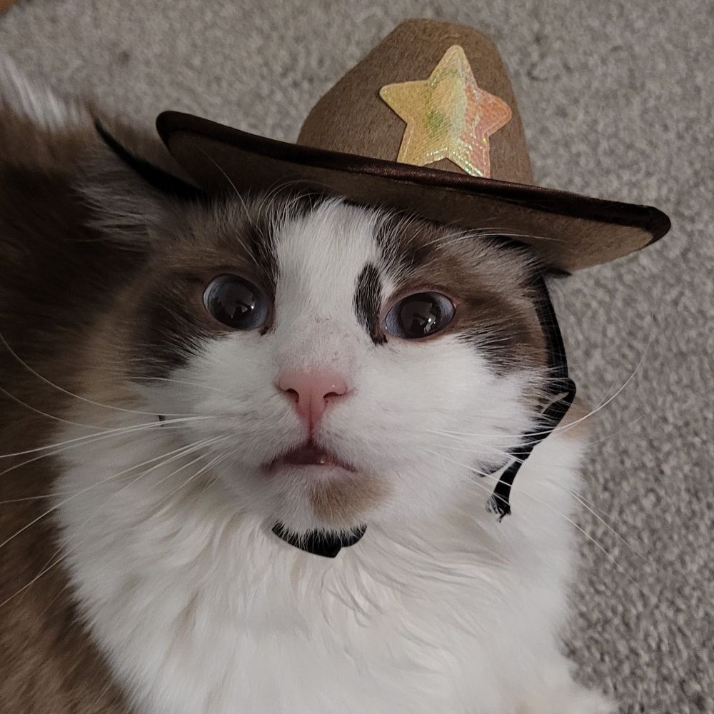 Bone Spookington