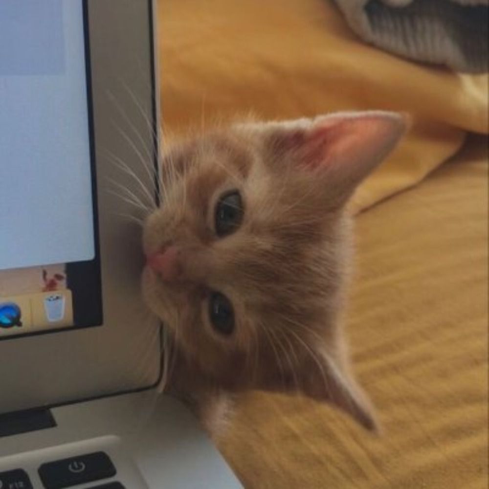 Henry