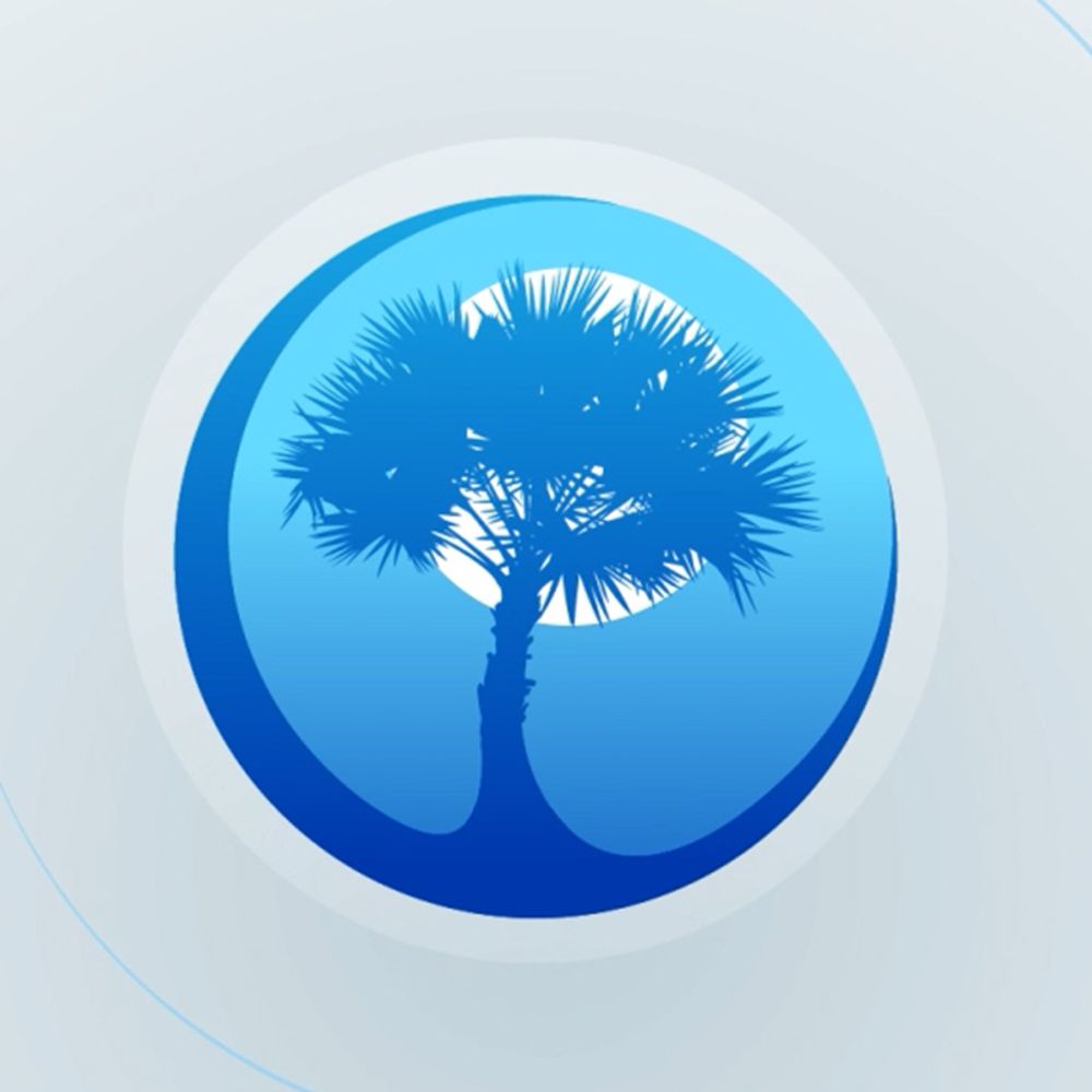 Palmetto Sports & Entertainment Network