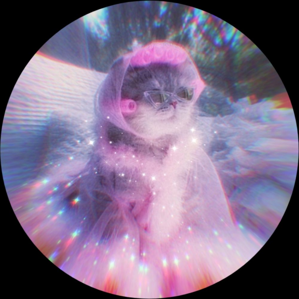 the one futch to rule them all ✨️🧙‍♀️🏹🌌🌷🍷🪄🎠🧭🎉🔬👀
