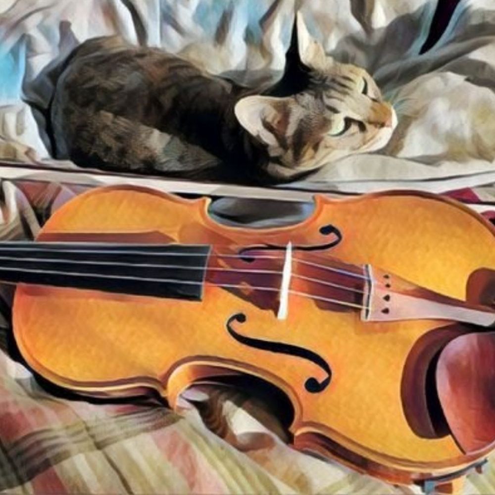 ぐみねこ🎻50代からのヴァイオリン