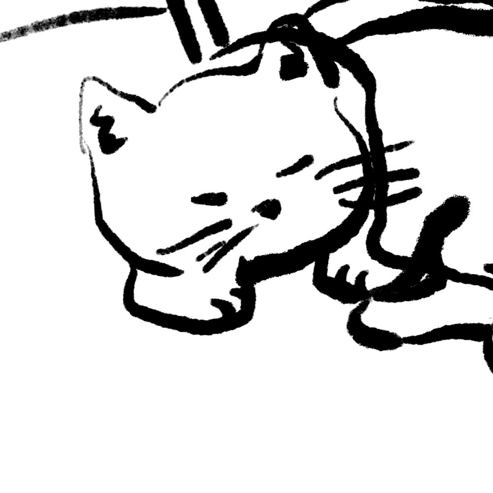 moon-x-rabbits.bsky.social