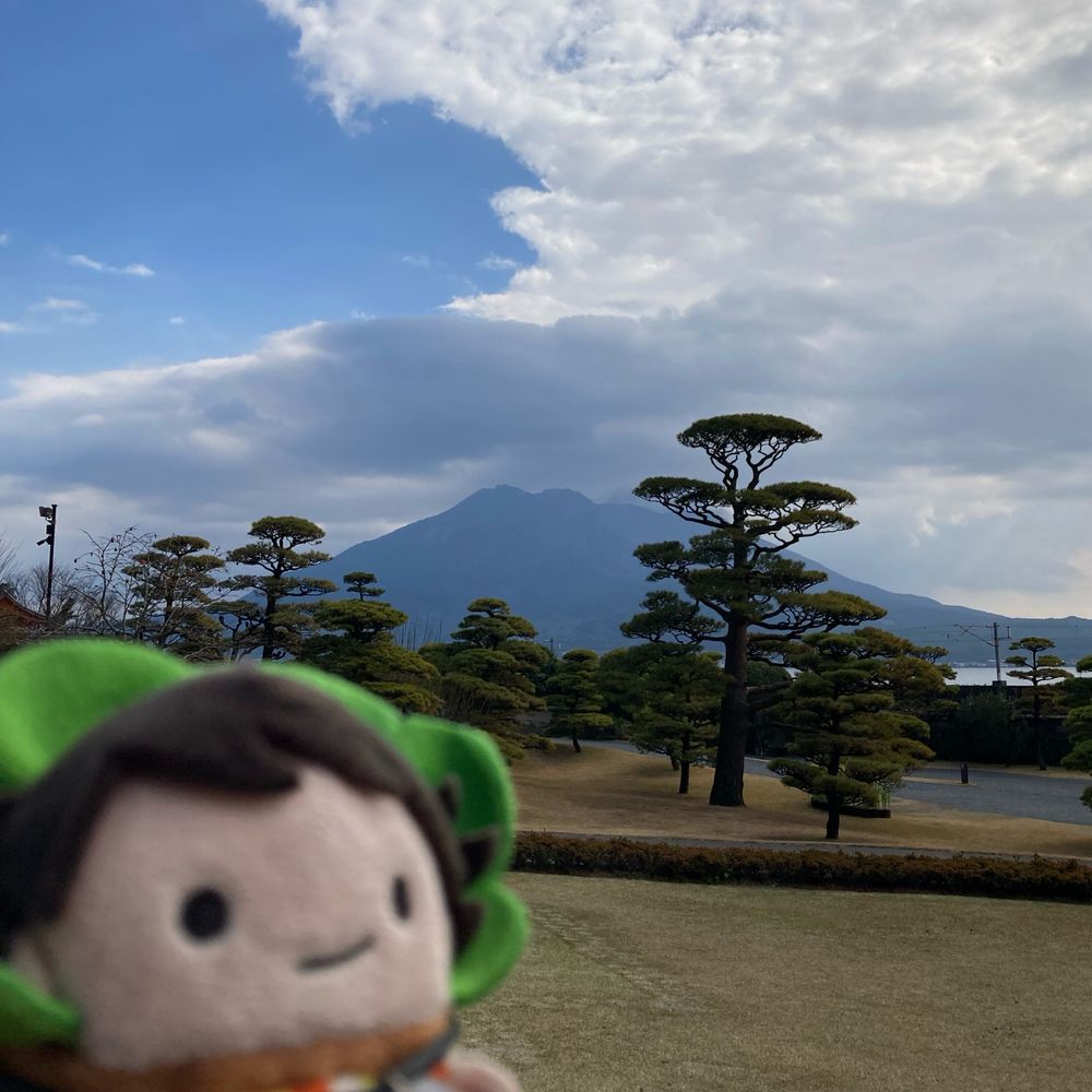 ブッピコ